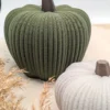 Deko-Kürbis „Kabocha“ in Dunkelgrün, Nahaufnahme der feinen Struktur-Oberfläche