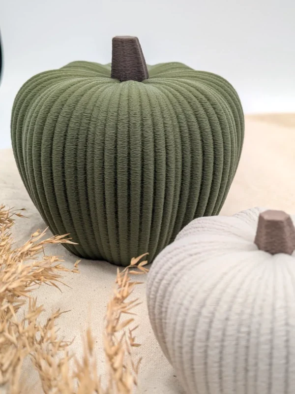 Deko-Kürbis „Kabocha“ in Dunkelgrün, Nahaufnahme der feinen Struktur-Oberfläche