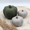 Deko-Kürbis Hokkaido „Kabocha“ mit feiner Struktur-Oberfläche in Dunkelgrün und Grau