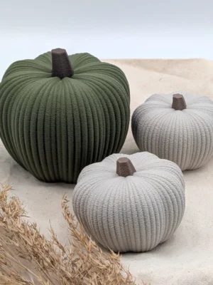 Deko-Kürbis Hokkaido „Kabocha“ mit feiner Struktur-Oberfläche in Dunkelgrün und Grau