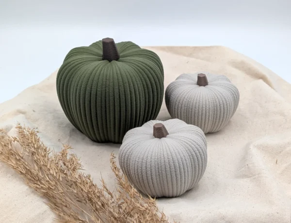 Deko-Kürbis Hokkaido „Kabocha“ mit feiner Struktur-Oberfläche in Dunkelgrün und Grau